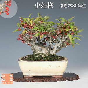 ~ ~ RVEoC EhL i~ ~j~  ~͑f yz