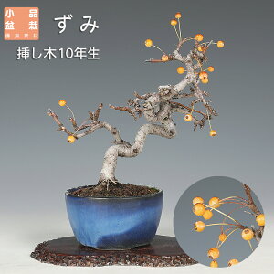 �~�� ���� �|�� �Y�~ ���i�~�� �~�j�~�� ���� �~�͑f��