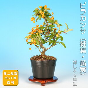 ~ ~j~ usJTiחtEjv@^`oihL kǂ k[ ԕ  f c ~ i~ ~͑f c |bgc