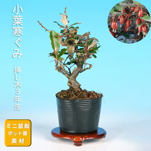 ~ t O~  i~ ~j~  G ~͑f c