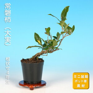 ~ Պ`  gLKL i~ ~j~ G  ~͑f c