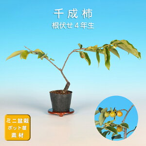 ~ 琬`  JL i~ ~j~  G ~͑f c