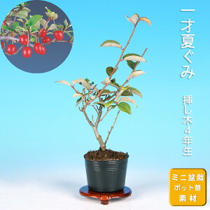 ~ ˉĂ O~  i~ ~j~  G ~͑f c