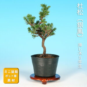 ~ m P gVE i~ ~j~  ~͑f c