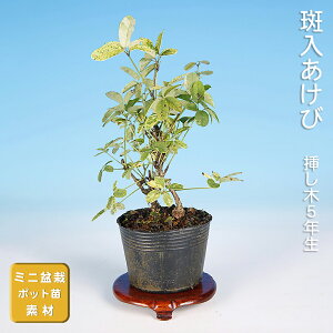 ~  APr ؒ i~ ~j~  ~͑f c