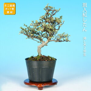 ~ g gh xjV^ i~ ~j~ G t ԕ  ~͑f c