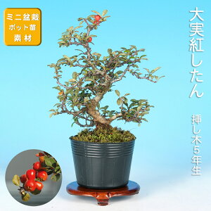 ~ g gh xjV^ i~ ~j~ G  ~͑fޑf c