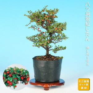 ~ b[Pg gh xjV^ i~ ~j~ G ԕ  ~͑f c