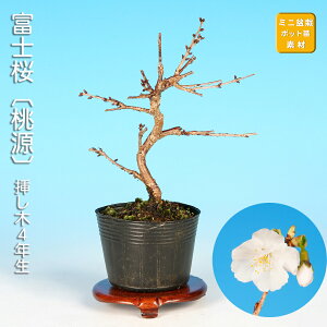 �~�� �x�m�� ���� �T�N�� ������ �� �t�W�U�N�� �}���U�N�� sakura ���~�� �~�j�~�� ���i�~�� �~�͑f�� �~�͕c �c�� �Ԗ� �|�b�g�c �s���N�� �Ԍ�