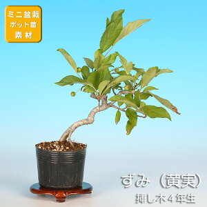 ~   Y~ i~ ~j~  ԕ ~͑f c