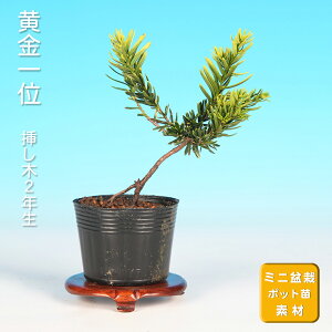 ~  C`C i~ ~j~  ~͑f c