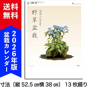 2026N~̓J_[u쑐~́v@ߘa8N ǂJ_[ 쑐~ R쑐 Ԗ A͌{ 񂹐A  ۋ lG~̓J_[ 13Â 