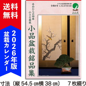 2026N~̓J_[ui~͖iWv@ߘa8N ǂJ_[ i~ ~͏ lG~̓J_[ 7Â 