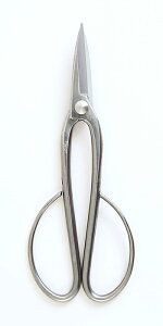 ~͓ ~  uXeX~v }؂ ͂ nT~ ꓹ Ă S210mm O yz