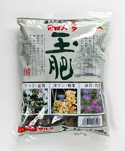 ~͔엿 u}^ʔij500gv  i ~j~  G  ԕ R쑐 ϗtA ԒdɎg镝Lpr