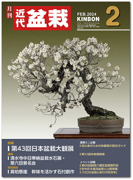 楽天市場】月刊「近代盆栽」2024年2月号 初心者からベテラン愛好家 