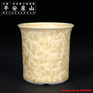 ~͔ Aؔ uRԌ۔v R    8.5cm 3 F S[h CG[ i~ ~j~ R쑐ɍœK yz