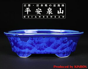 ~͔ Aؔ uRڗԌȉ~vR    6 18cm  lCr[ i~ ~j~ R쑐ɍœK yz