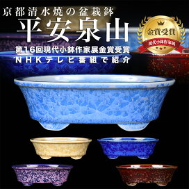 楽天市場】広東瑠璃釉隅切長方鉢 : BONSAI 彩都 楽天市場店