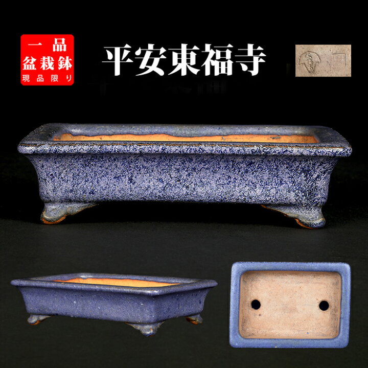 楽天市場】盆栽鉢 「東福寺瑠璃釉窯変長方鉢」 植木鉢 初代 平安東福寺 