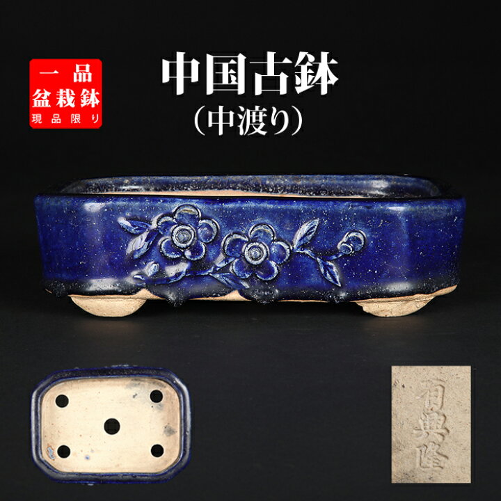 楽天市場】盆栽鉢 「広東瑠璃釉浮彫長方鉢 有興隆」 植木鉢 陶器 落款 