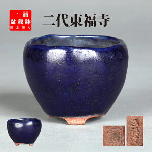 ~͔ 㓌ڗ֊۔ Aؔ  E  lCr[ 2 6cm i~ ~j~͂ɍœK i yz