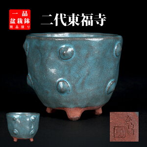 ~͔ 㓌֕eŊ۔ Aؔ  E  F 2 6cm i~ ~j~͂ɍœK i yz