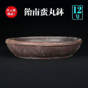 ~͔ ؊۔   io { 12 37cm ~ l؂ɍœK