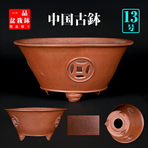 ~͔ DO۔ X  13 40cm  i~͂ɍœK i