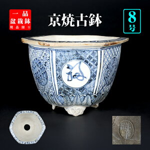 ~͔ ĐtZp   g˕ 8 24cm Gؖ~ R ɍœK i