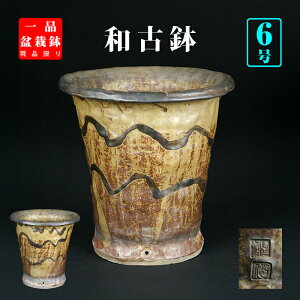 ~͔ aۉ   т˂  6 17cm Gؖ~ R ɍœK i