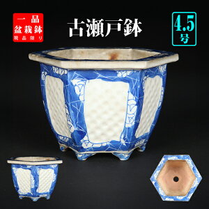 ~͔ ːtZp  ˕  Zg 4 13cm Gؖ~ R쑐 R RɍœK i