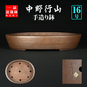 ~͔ sRؗȉ~ 튊 葢 B藎 16 48cm  啨~͂ɍœK i