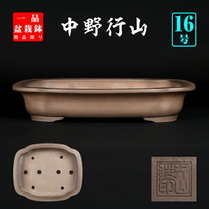 ~͔ sRO؉Z 튊 17 50cm ^ q  H~͂ɍœK i