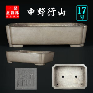 ~͔ sR 튊 17 50cm ^ q  H~͂ɍœK i