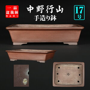 ~͔ sRO 튊 葢 B藎 17 49cm  啨~͂ɍœK i