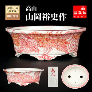 ~͔ RԊG}ȉ~ JR Gt `  6 17cm i~ ~j~͂ɍœK i