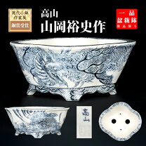 楽天市場】龍（種類（植木鉢）盆栽鉢）（植木鉢｜植木鉢・プランター 