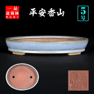 ~͔ R֑ȉ~ ㍁R  5 15cm u[ i~ ~j~͂ɍœK i