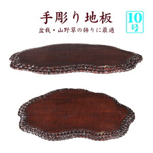 ~͗pn 蒤n ~͏  10 31cm i~ ~j~ R쑐ɍœK