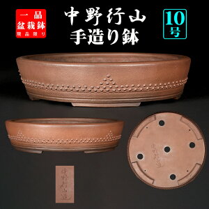 ~͔ sReŊ۔ 10 31cm 葢 B 튊 ~ i~͂ɍœK i