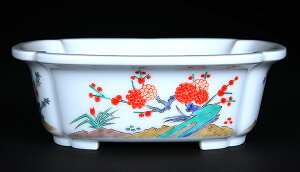 \ܑ`EqFG|~O؉Z@~͔  Aؔ ~ Lc Ɣ bonsaipot kakiemon G Gt  5 16cm i~ ~j~͂ɍœK 