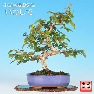 ~ 킵 ₵ l CVf i~ ~j~ Gؖ~ t~ i