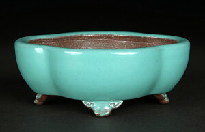 ~͔ Aؔ u֋v  F  4 12cm O[ i~ ~j~ R쑐ɍœK