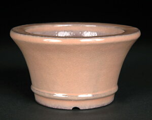 ~͔ Aؔ u֊OR۔v  F  4 11cm sN i~ ~j~ R쑐ɍœK