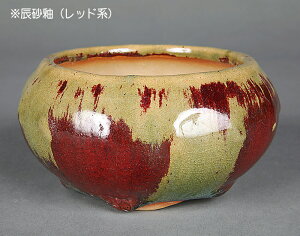 ~͔ uLFv Aؔ  F 4 11.5cm i~ ~j~ R쑐ɍœK