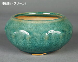 ~͔ uLFv Aؔ  F 4 11.5cm i~ ~j~ R쑐ɍœK