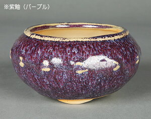 ~͔ uLFv Aؔ  F 4 11.5cm i~ ~j~ R쑐ɍœK