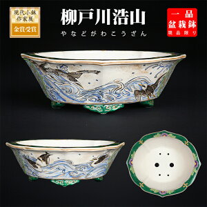 ~͔ ː_Rg璹}؉Z Gt 葢 ` 6 18cm i~ ~j~͂ɍœK iyz