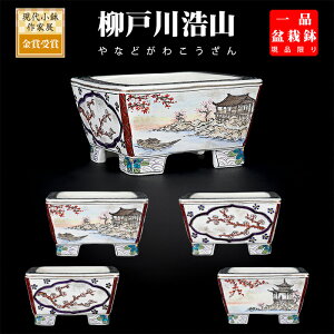 ~͔ ː_RRi} Gt 葢 ` 3 9cm i~ ~j~͂ɍœK i yz